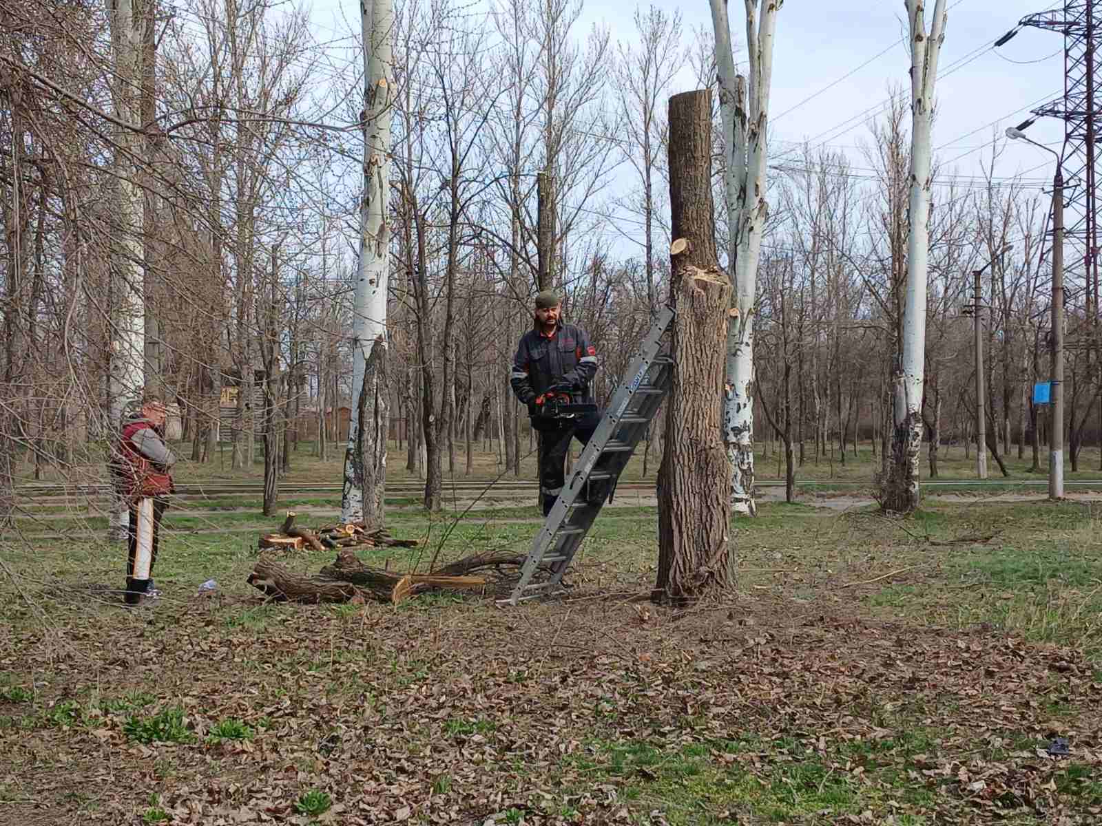 зображення viber 2025 03 28 11 37 38 537