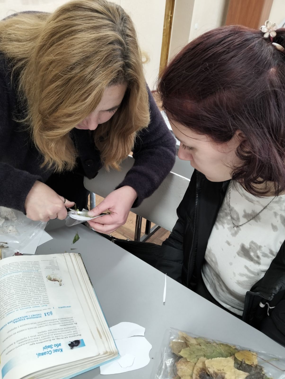 зображення viber 2025 10 14 16 28 34 829