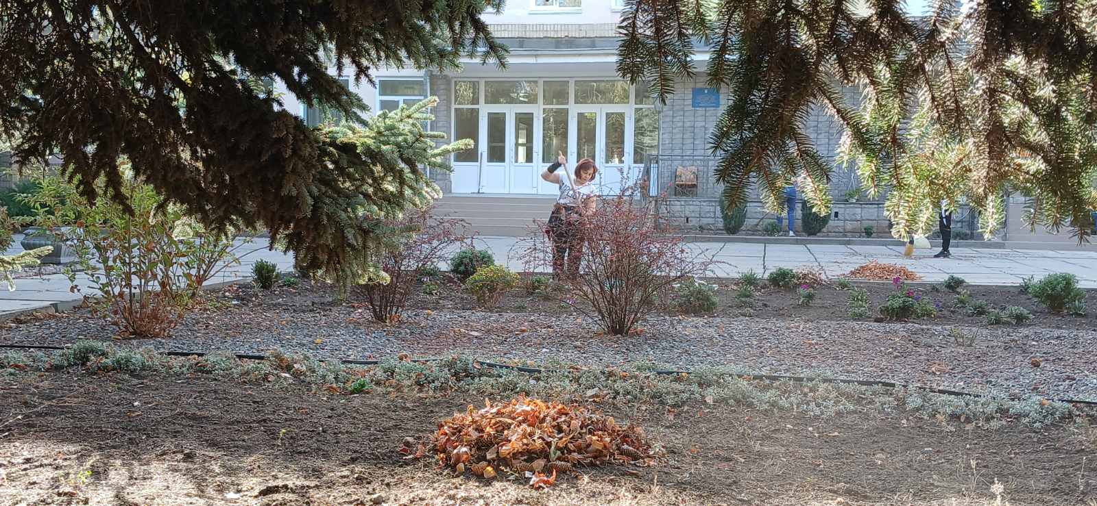 зображення viber 2024 10 03 12 11 16 666